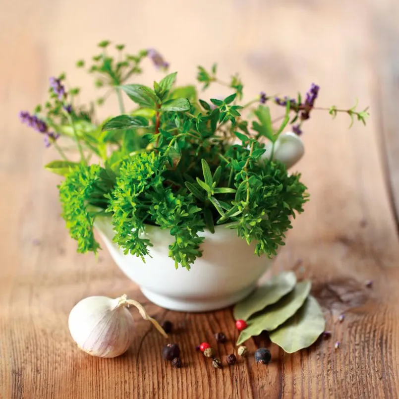 Wandbild 30 x 30 cm Herbs II<EUROART Outlet
