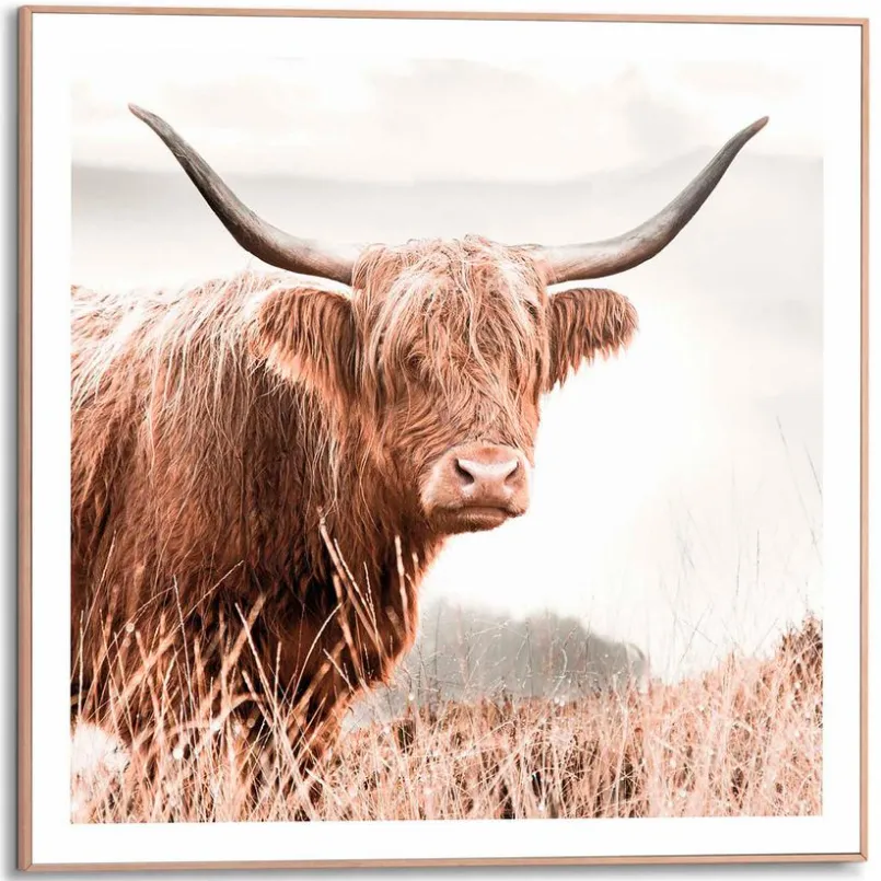 Reinders Bilder Mit Rahmen|Bilder Nach Themen-Wandbild 50 x 50 cm Highlander Beige