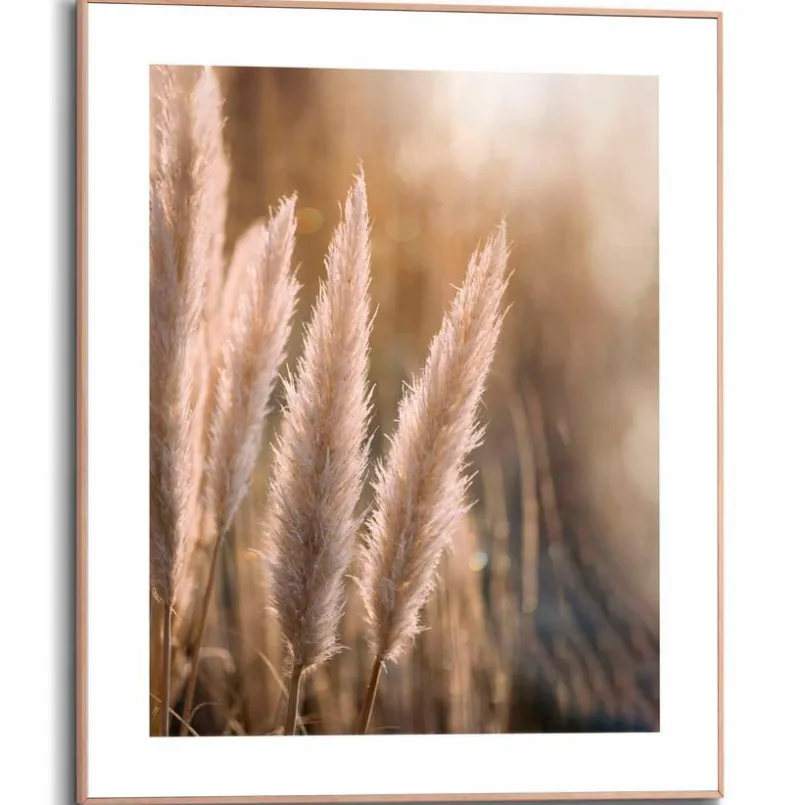 Bilder Mit Rahmen|Bilder Nach Themen|Reinders Wandbild 40 x 50 cm Pampas Beige