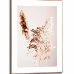 Wandbild 50 x 70 cm Pampasgras<Reinders New