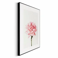 Reinders Bilder Mit Rahmen|Bilder Nach Themen-Wandbild 30 x 40 cm Pink Rose Rosa