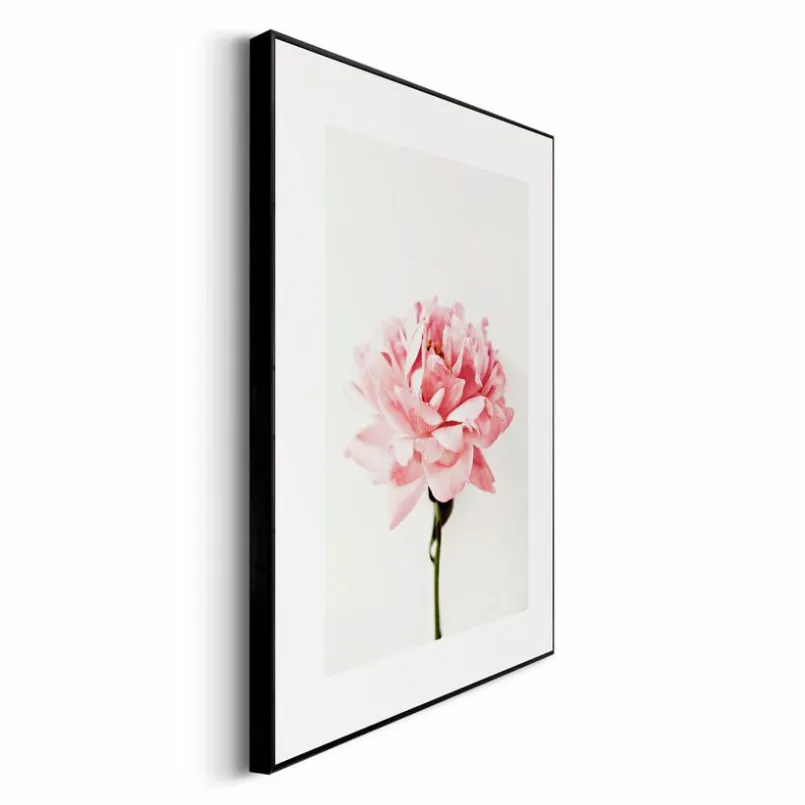 Reinders Bilder Mit Rahmen|Bilder Nach Themen-Wandbild 30 x 40 cm Pink Rose Rosa
