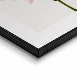 Reinders Bilder Mit Rahmen|Bilder Nach Themen-Wandbild 30 x 40 cm Pink Rose Rosa