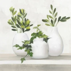 Wandbild 55 x 55 cm Plant Life II<EUROART Outlet