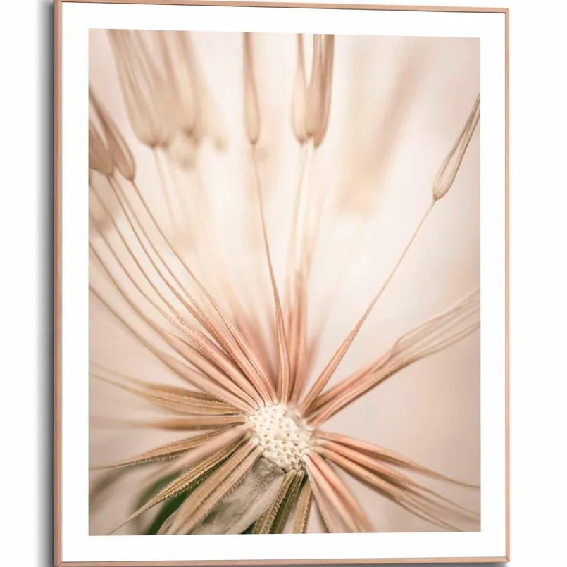 Bilder Mit Rahmen|Bilder Nach Themen|Reinders Wandbild 40 x 50 cm Pusteblume Beige