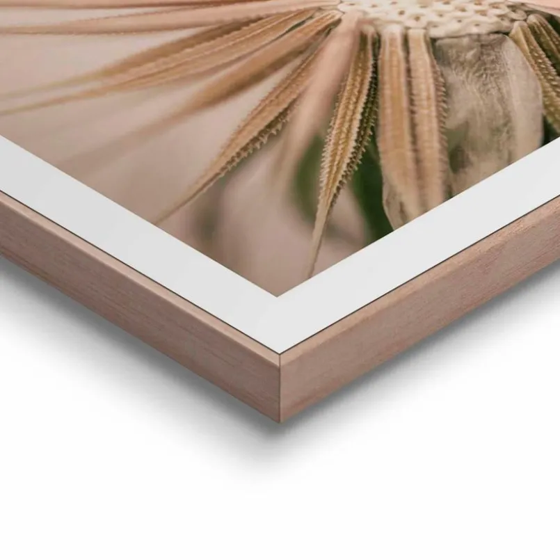 Bilder Mit Rahmen|Bilder Nach Themen|Reinders Wandbild 40 x 50 cm Pusteblume Beige