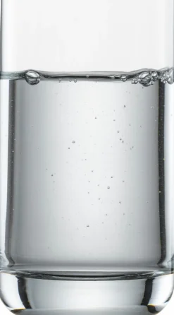 SCHOTT ZWIESEL Gläser-Wasserglas Simple 255 ml Klar