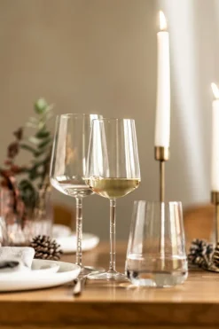 Wasserglas Vervino 490 ml<ZWIESEL GLAS New