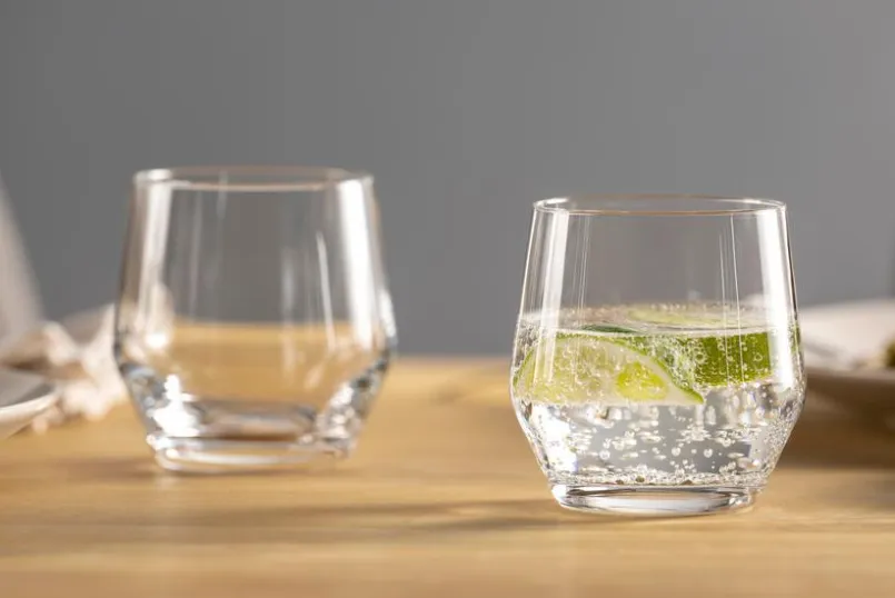 Gläser|Leonardo Whiskyglas Puccini 310 ml Klar